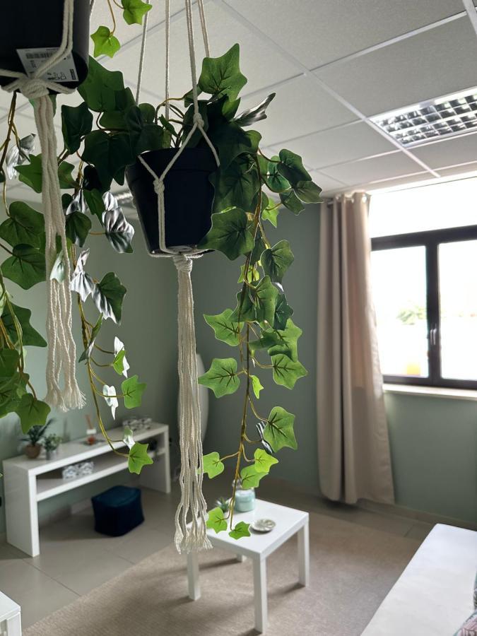 Botanical Suite Bari Eksteriør bilde